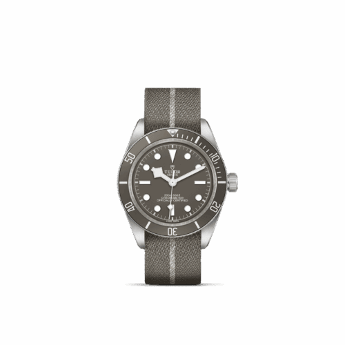 TUDOR Black Bay 58 925 watch featuring a 39 mm satin-finished silver case, taupe dial with luminous markers, unidirectional rotatable bezel, and taupe fabric strap with silver buckle, showcasing luxury craftsmanship and design.