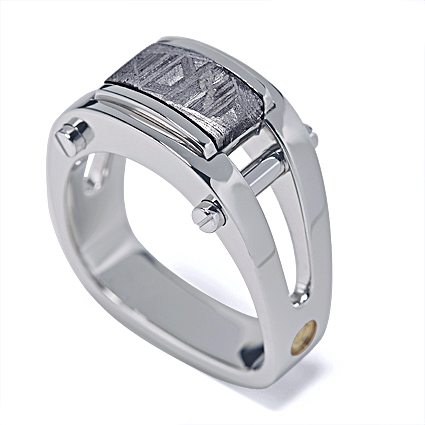 Post Modern Platinum Men's Meteorite Ring