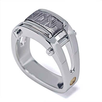 Post Modern Platinum Men’s Meteorite Ring