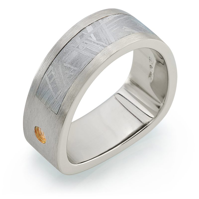 Paragon Men’s Meteorite White Gold Wedding Band