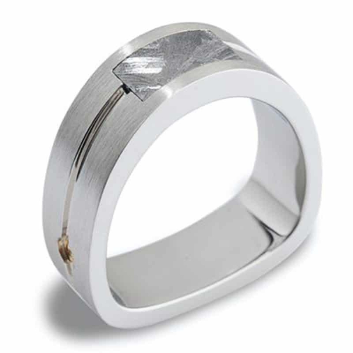 Paragon Men's Meteorite White Gold Wedding Ring