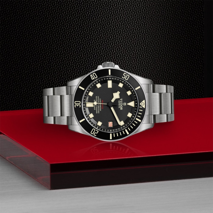 TUDOR Pelagos LHD - Image 3