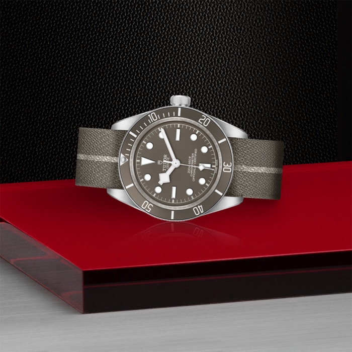 TUDOR Black Bay Fifty-Eight 925 - Image 3