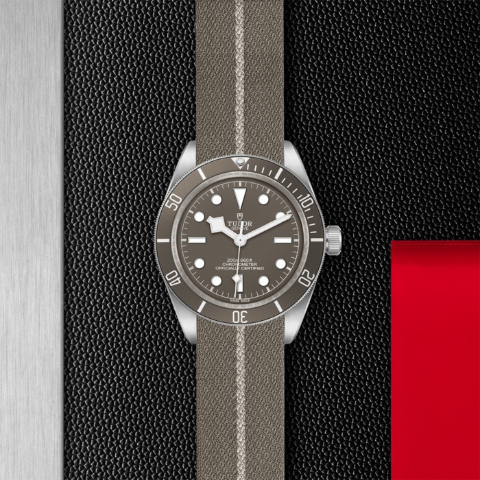 TUDOR Black Bay Fifty-Eight 925 - Image 4