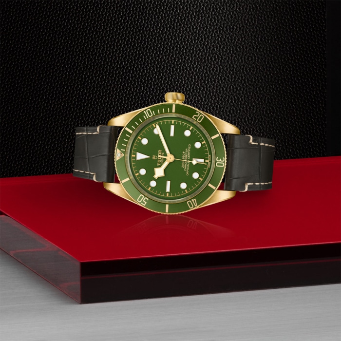 TUDOR Black Bay Fifty-Eight 18k - Image 3