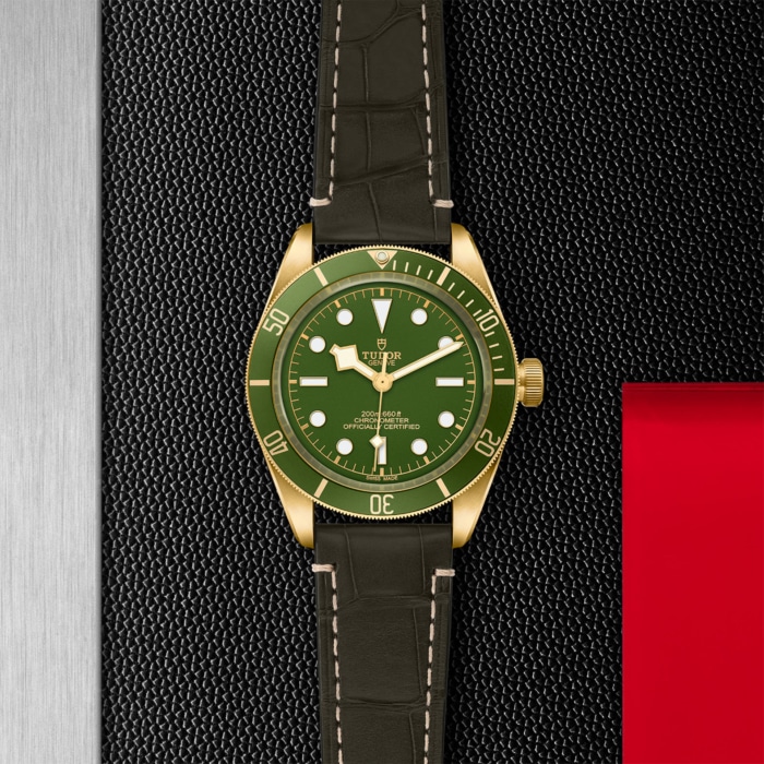 TUDOR Black Bay Fifty-Eight 18k - Image 4