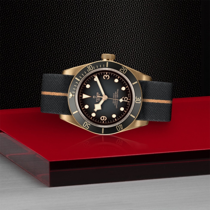 TUDOR Black Bay Bronze - Image 3