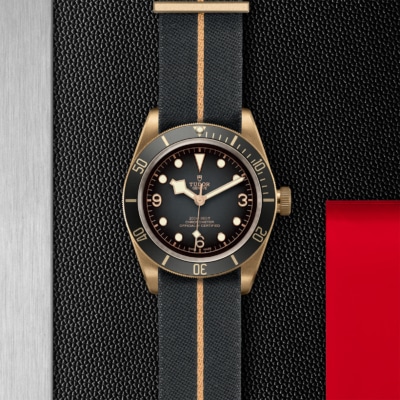 TUDOR Black Bay Bronze - Image 4