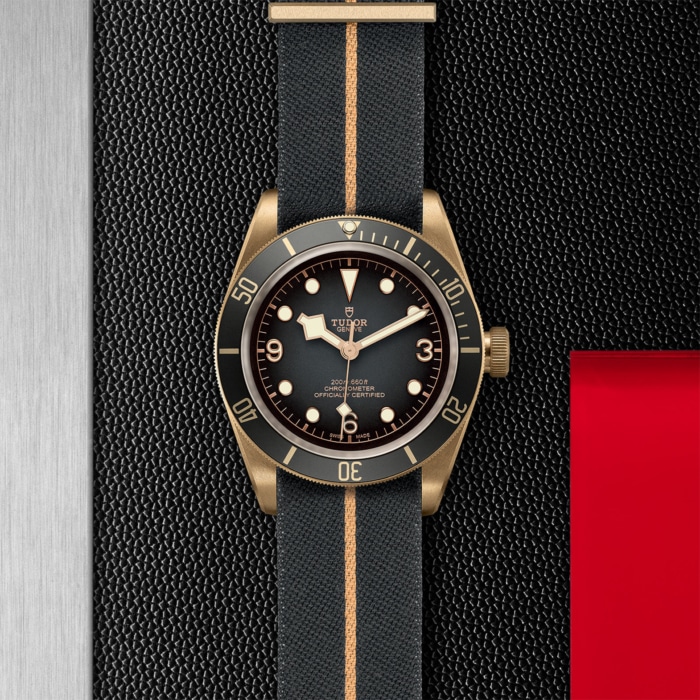 TUDOR Black Bay Bronze - Image 4