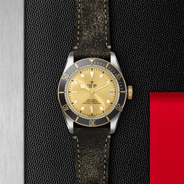 TUDOR Black Bay S&G - Image 4