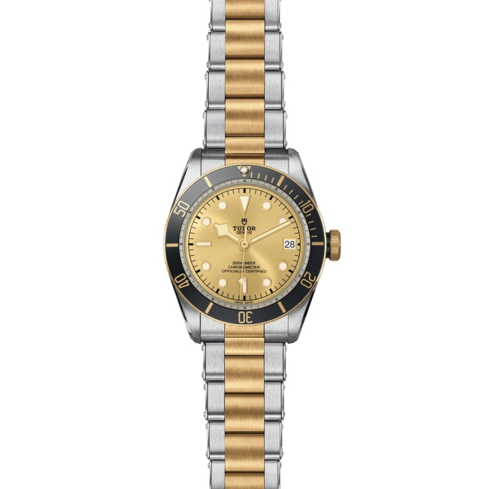 TUDOR Black Bay S&G - Image 2