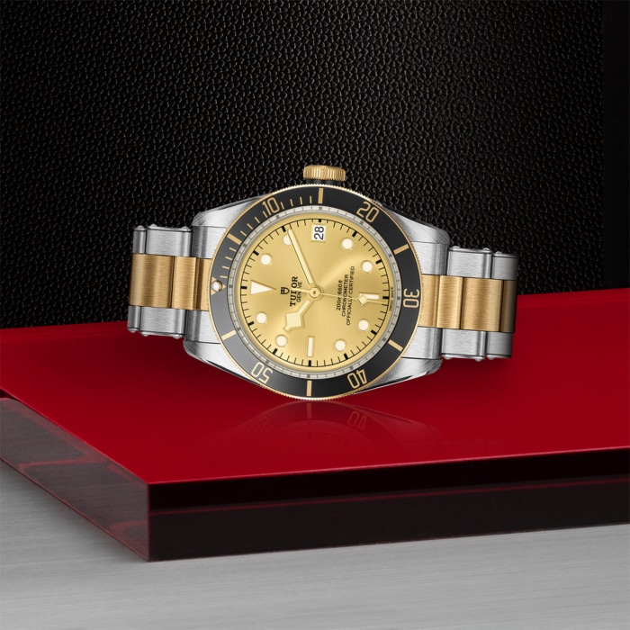 TUDOR Black Bay S&G - Image 3