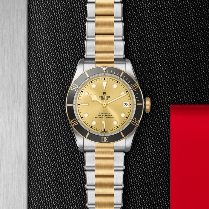 TUDOR Black Bay S&G - Image 4