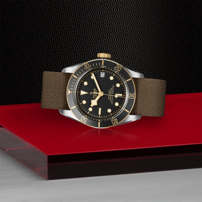 TUDOR Black Bay S&G - Image 3