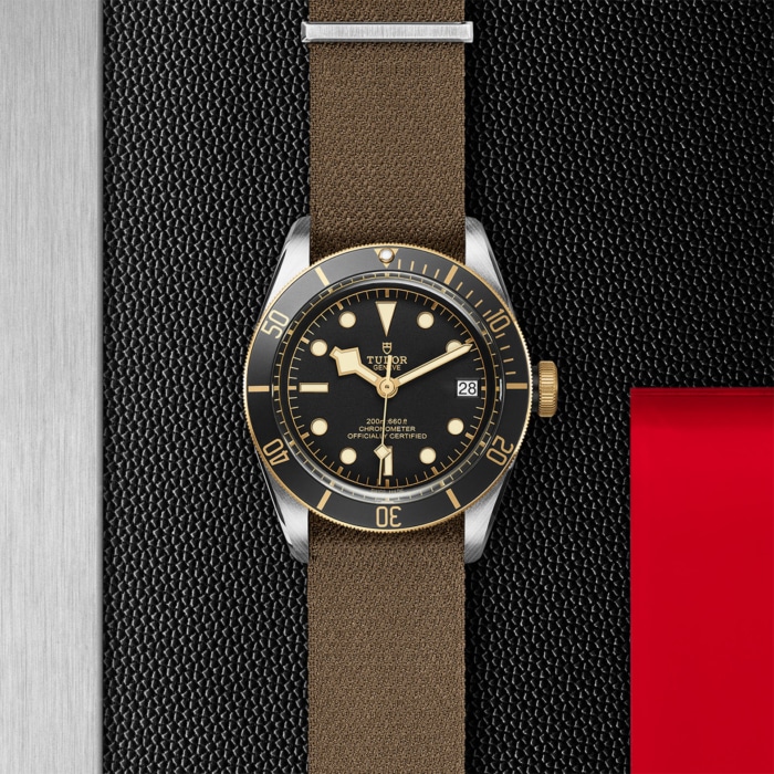 TUDOR Black Bay S&G - Image 4