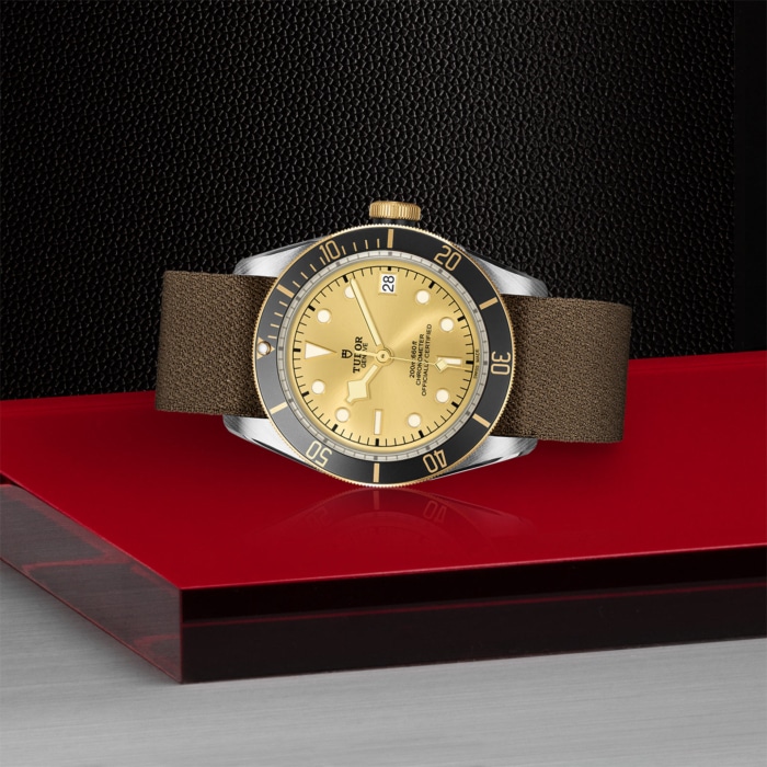TUDOR Black Bay S&G - Image 3