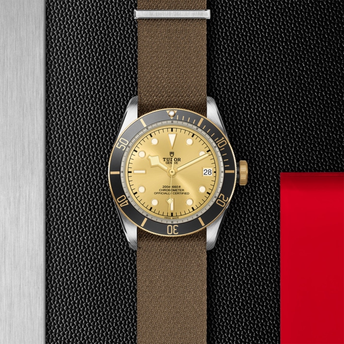 TUDOR Black Bay S&G - Image 4