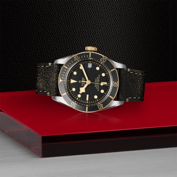 TUDOR Black Bay S&G - Image 3