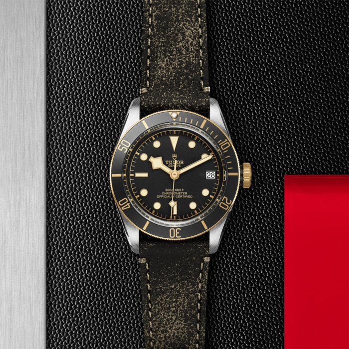 TUDOR Black Bay S&G - Image 4