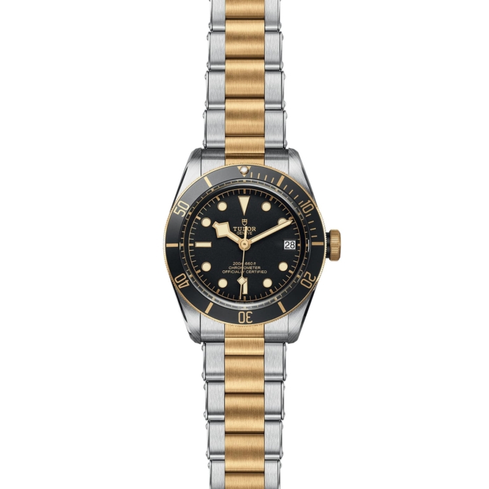 TUDOR Black Bay S&G - Image 2