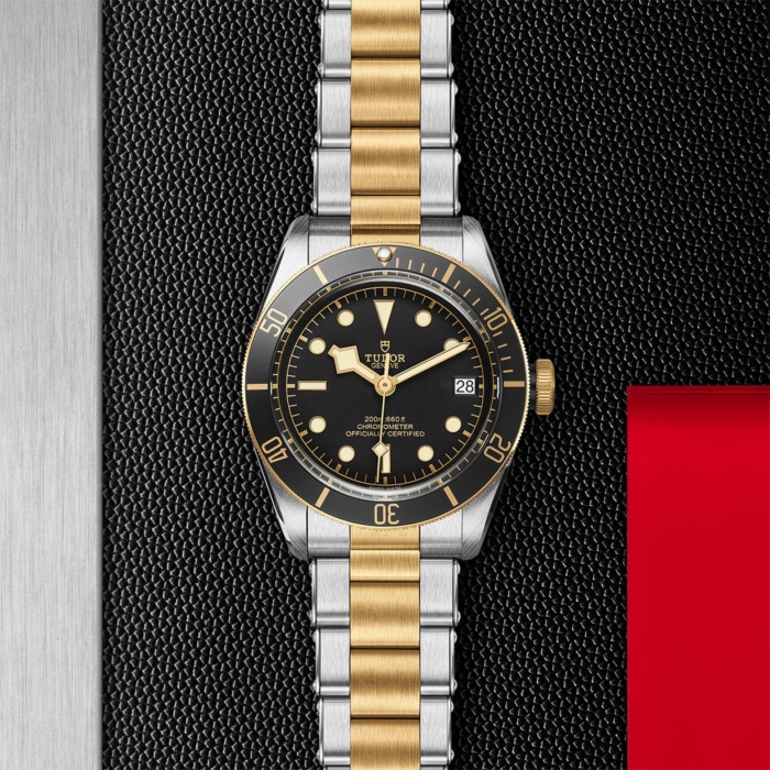 TUDOR Black Bay S&G - Image 4