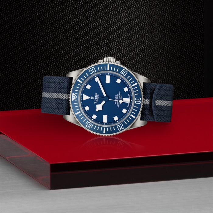 TUDOR Pelagos FXD - Image 3