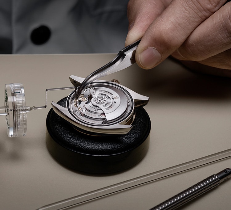 Rolex servicing procedure precision test portrait.