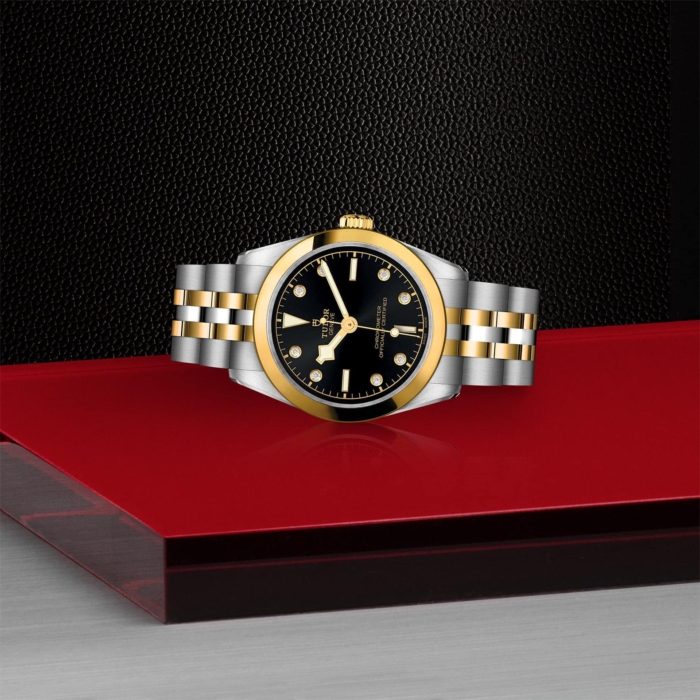 TUDOR Black Bay 31 S&G - Image 3