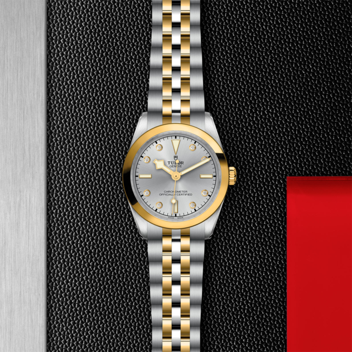 TUDOR Black Bay 31 S&G - Image 4