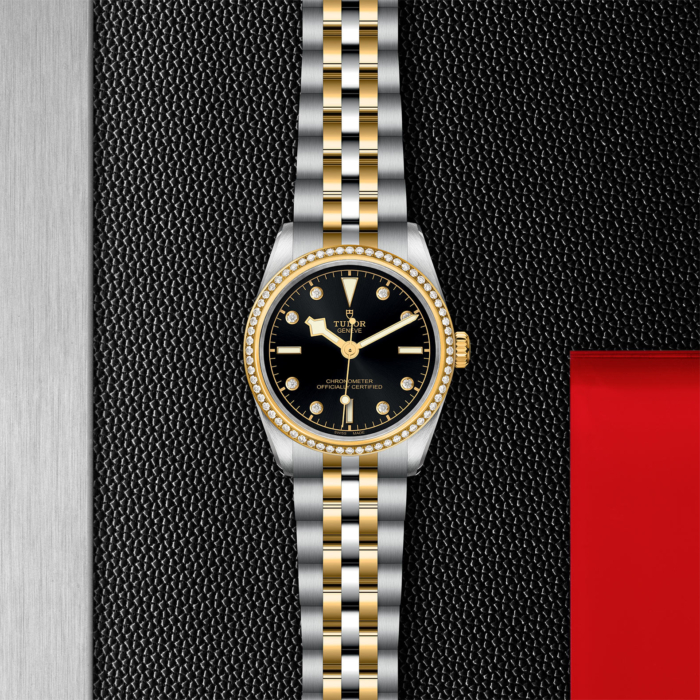 TUDOR Black Bay 31 S&G - Image 4