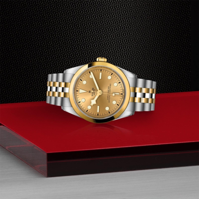 TUDOR Black Bay 36 S&G - Image 3