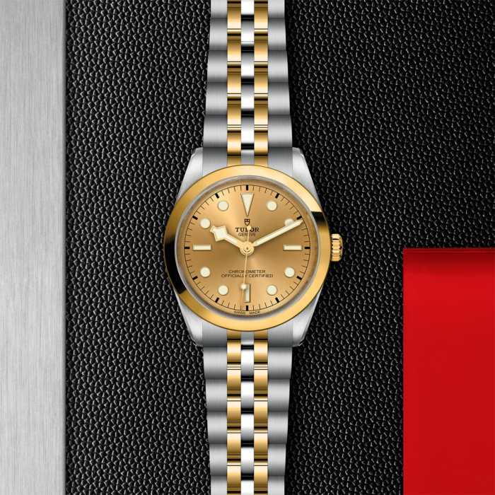 TUDOR Black Bay 36 S&G - Image 4