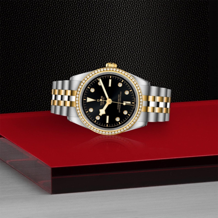 TUDOR Black Bay 36 S&G - Image 3