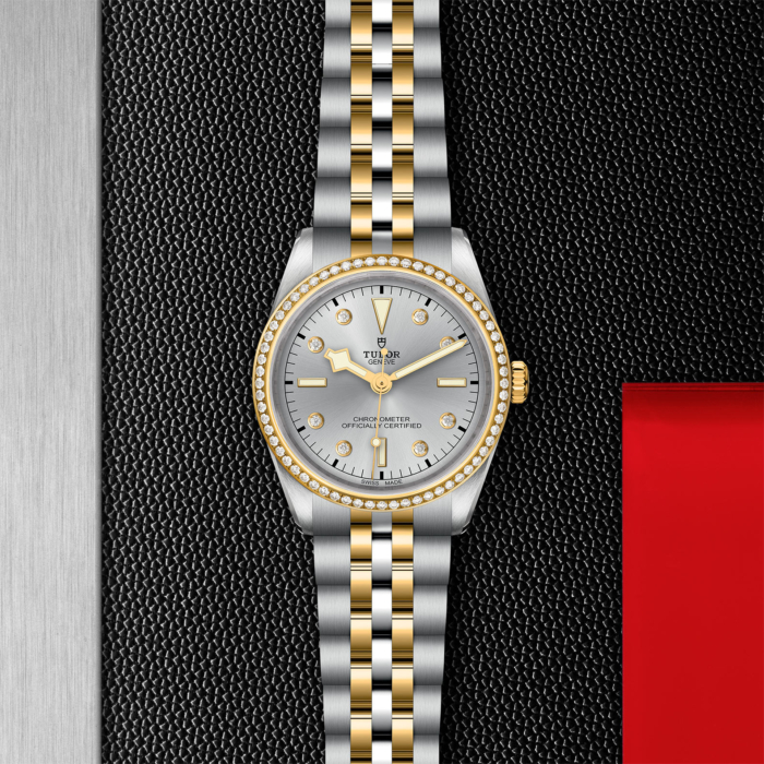 TUDOR Black Bay 36 S&G - Image 4