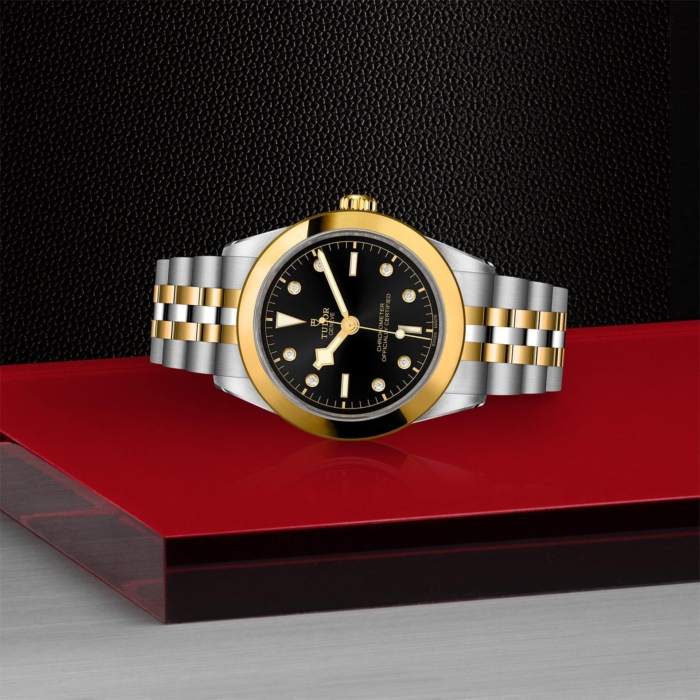 TUDOR Black Bay 39 S&G - Image 3