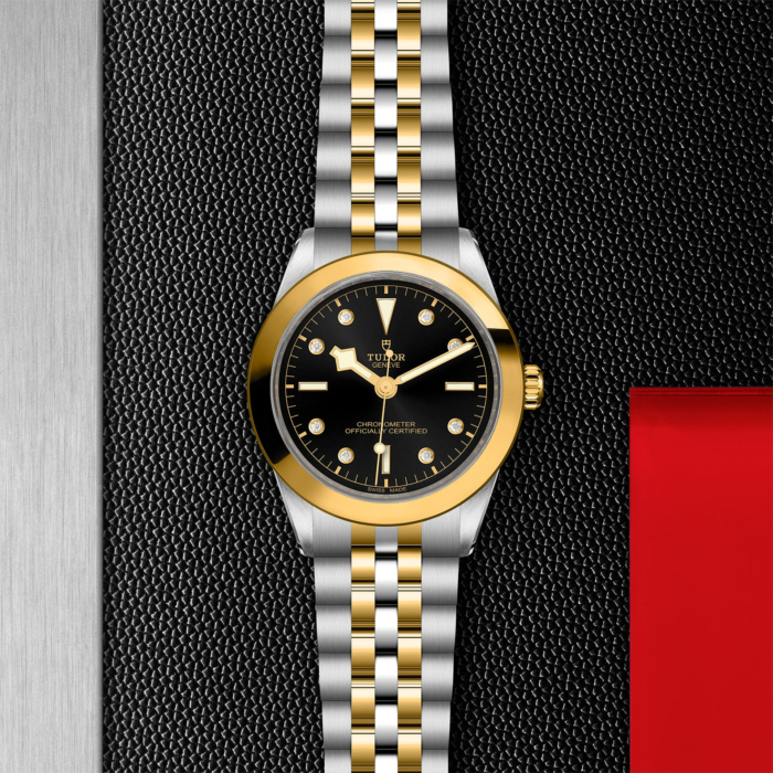 TUDOR Black Bay 39 S&G - Image 4