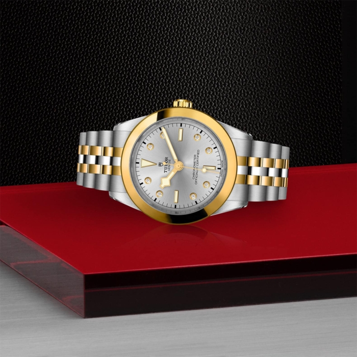 TUDOR Black Bay 39 S&G - Image 3