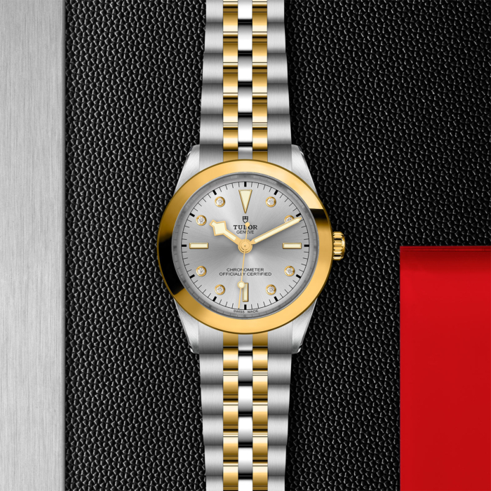 TUDOR Black Bay 39 S&G - Image 4
