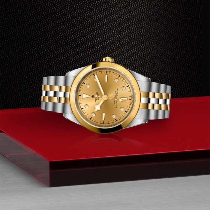 TUDOR Black Bay 41 S&G - Image 3