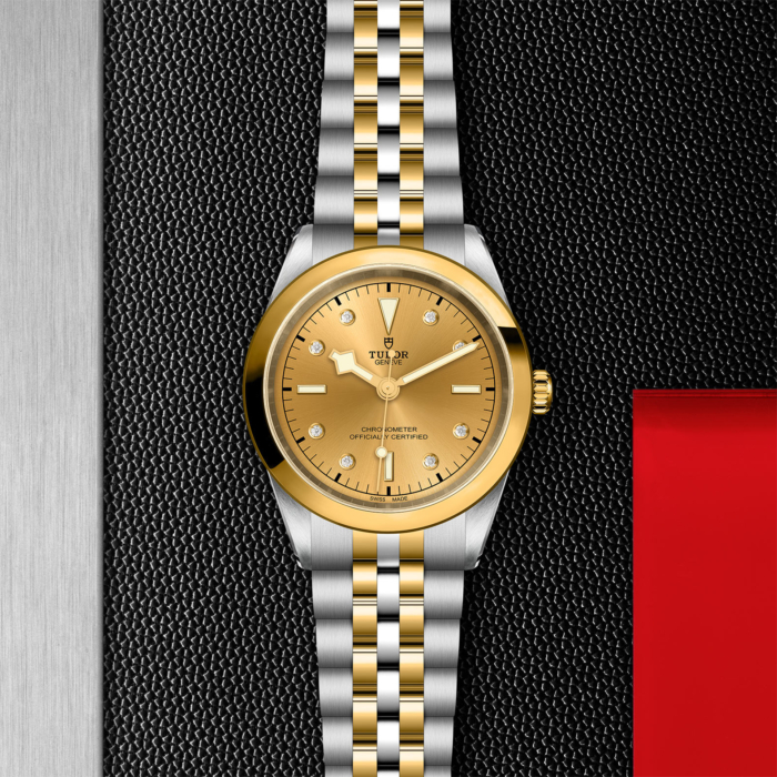 TUDOR Black Bay 41 S&G - Image 4