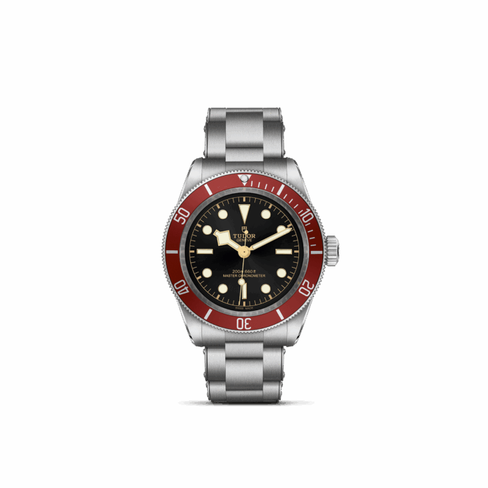 TUDOR Black Bay