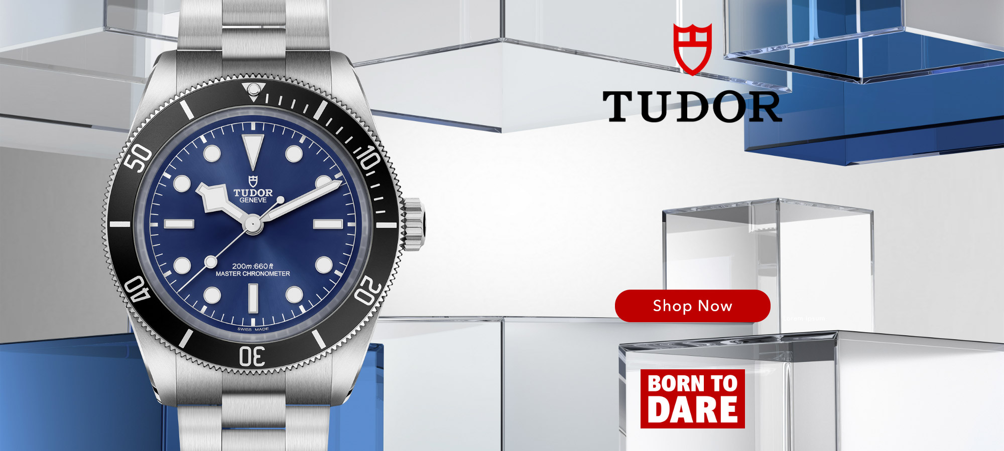 tudor-banner-oct-2025 Black Bay Tudor