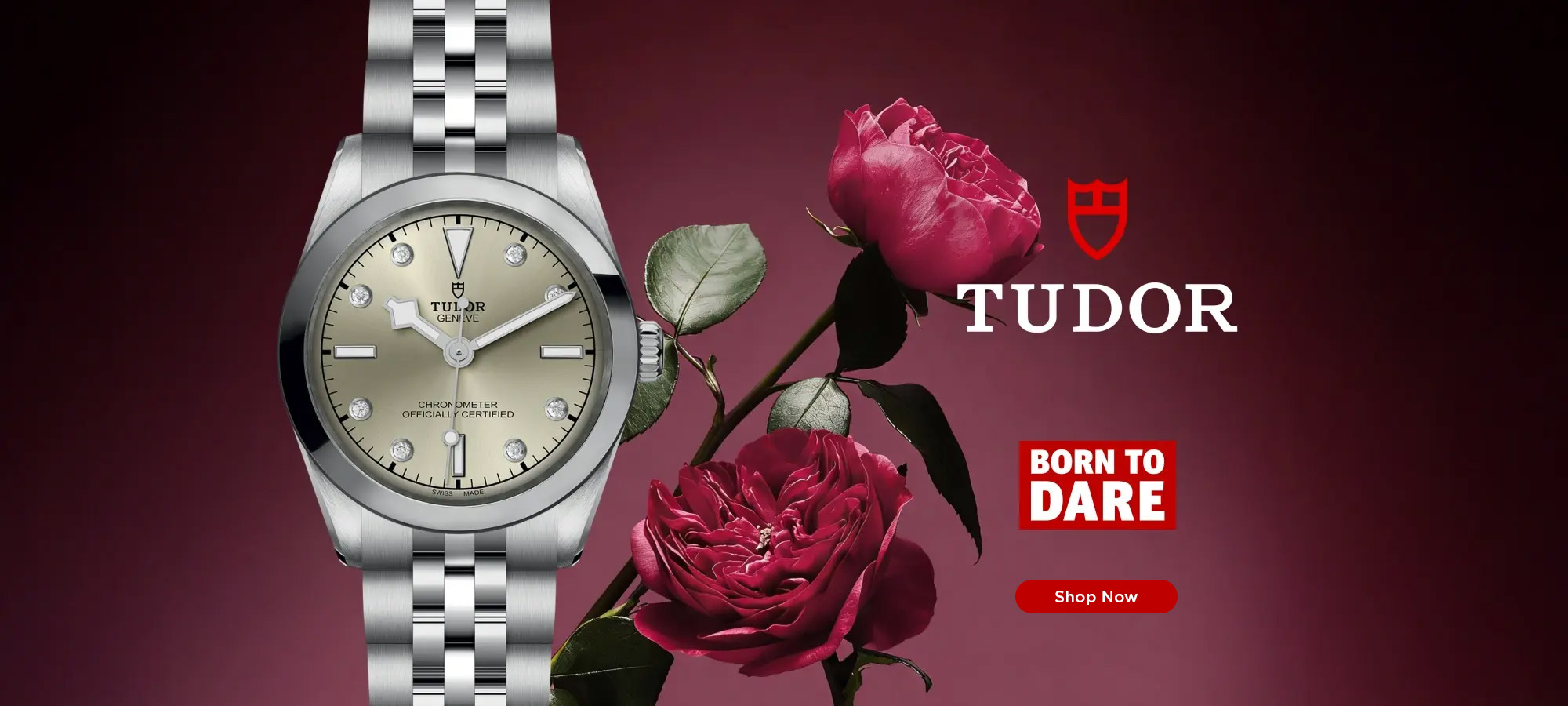 tudor-banner-0226-desktop Tudor Feb 26